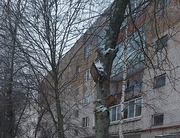 1-к. квартира