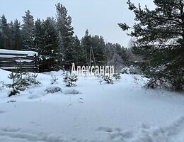 Загородный дом