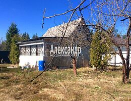 Дом 55 м<sup>2</sup>