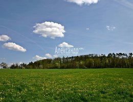 Участок 3.6 Га