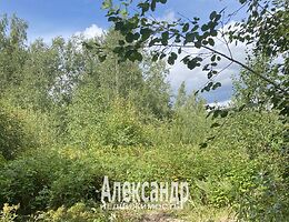 Участок 12 сот.