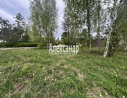 Участок 13 сот.