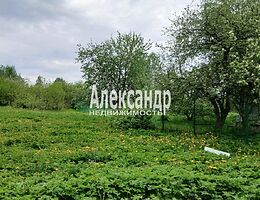 Участок 12.5 сот.