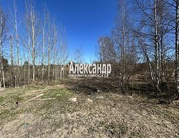 Участок 1040 сот.