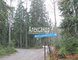 Участок 10 сот.