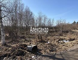 Участок 25 сот.