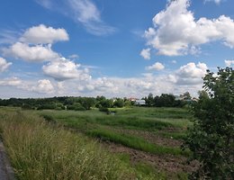 Участок 11 сот.