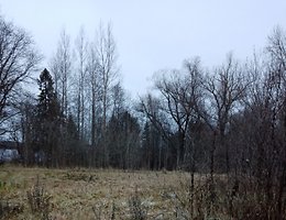 Участок 200 сот.