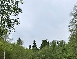 Участок 19.5 сот.