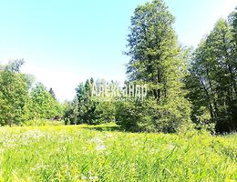 Участок 12.5 сот.