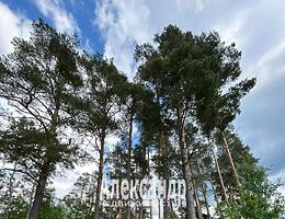 Участок 12 сот.