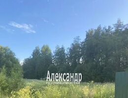 Участок 12 сот.