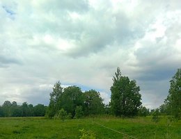 Участок 11 сот.