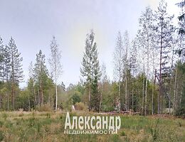 Участок 11.3 сот.