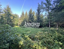 Участок 22 сот.