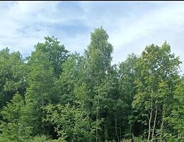 Участок 5 сот.