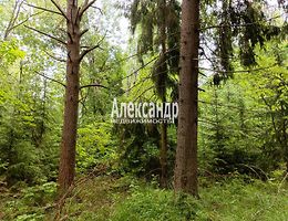Участок 12 сот.