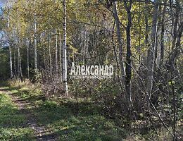 Участок 11 сот.