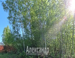 Участок 10 сот.