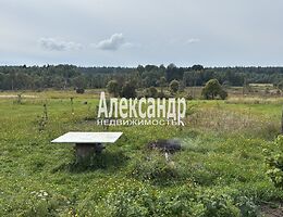 Участок 46 сот.