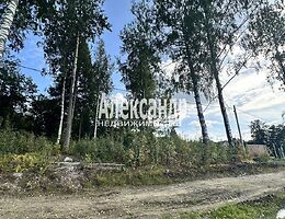 Участок 9 сот.
