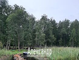 Участок 200 сот.