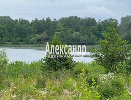 Участок 12 сот.