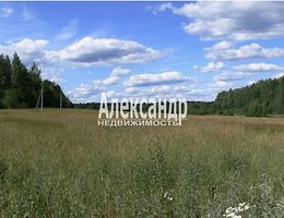 Участок 1200 сот.