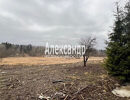 Участок 12 сот.