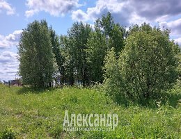 Участок 10 сот.