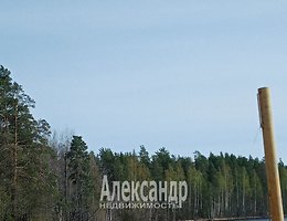 Участок 9.9 сот.