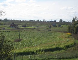 Участок 15 сот.