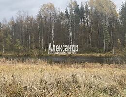 Участок 50 сот.