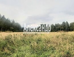 Участок 337 сот.