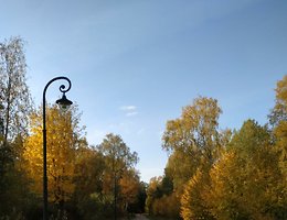 Участок 41.39 сот.
