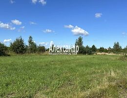 Участок 10 сот.