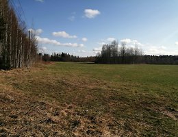 Участок 49 сот.