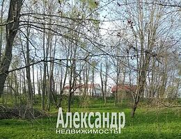 Участок 12.5 сот.