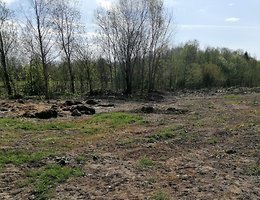 Участок 50 сот.