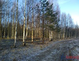 O postupku pružanja zemljišta za seljačko (poljoprivredno) uzgoj u Lenjingradskoj regiji (izmijenjen i dopunjen 13. ožujka 2001.) (istekao 26. veljače 04. na temelju zakona Lenjingradske regije od 12. veljače 04. N 4-oz)