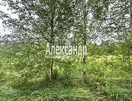 Участок 7 сот.
