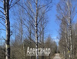 Участок 13.1 сот.