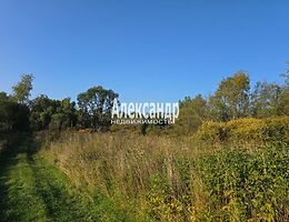 Участок 50 сот.