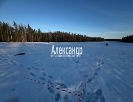 Участок 10 сот.