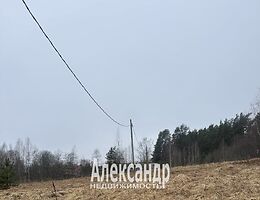 Участок 200 сот.