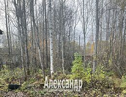 Участок 12 сот.