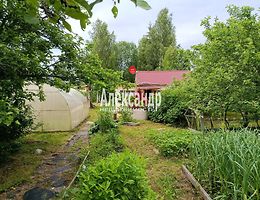 Участок 12 сот.