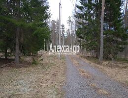 Участок 553 сот.