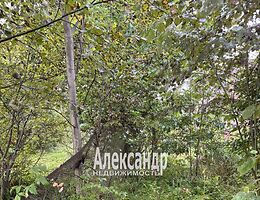 Участок 6.18 сот.