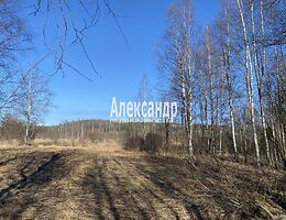 Участок 13.1 сот.